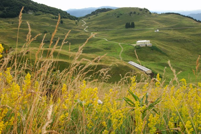 La busa_08 20060073_060805_Novegno_006_2