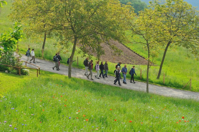 120520_Cammino_022_small