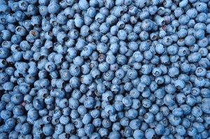 110802_MagCio_010_small