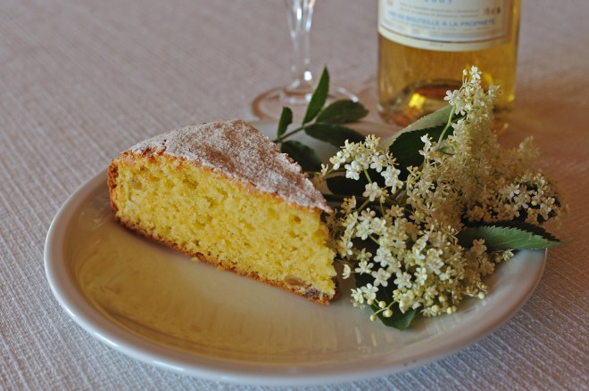 140514_Sambuco_062_small