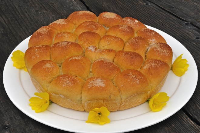 150817_Pandolce_001_small