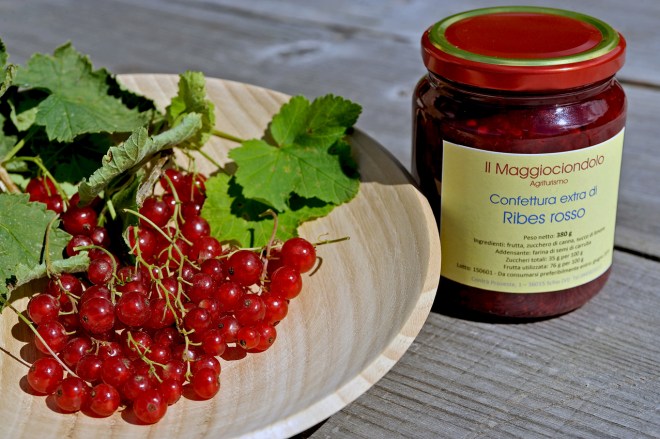 140630_Ribes_005_small