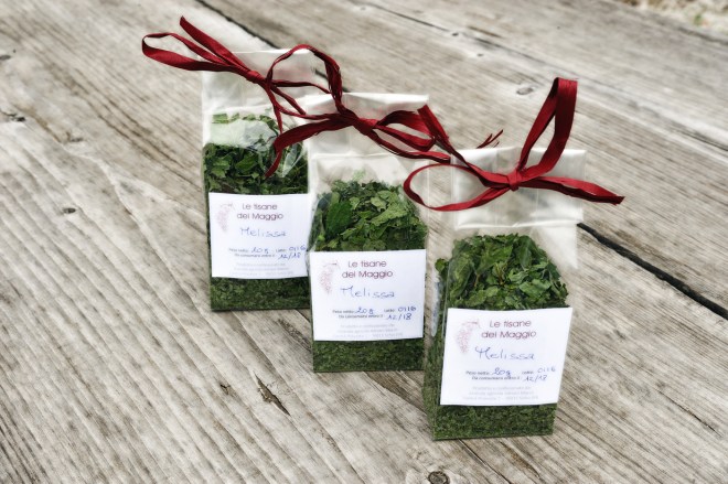 160514_Erbe_014_small